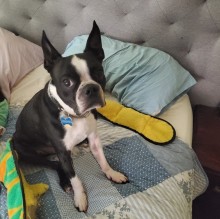 Immagine del profilo di Ann Matter