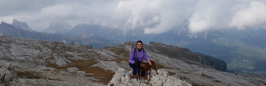 Pensione in famiglia's couverture