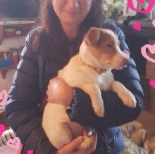 Ilaria Gemignani's Avatar