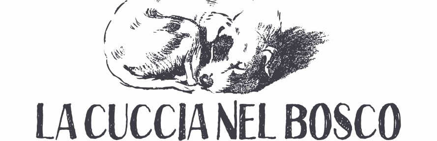 fabiana francesca antonioli's cover