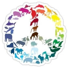 Immagine del profilo di Anastasia 