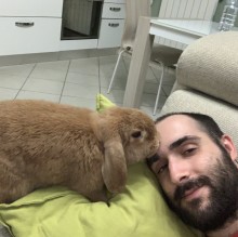 Immagine del profilo di Matteo Bruni