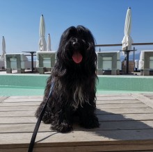 Avatar de WIlson Kramar