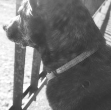 Viviana Catta's avatar