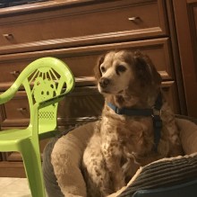 Vita Nicolini's Avatar