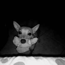 Mario Manco's avatar