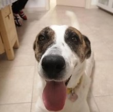 Immagine del profilo di Simona