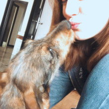 Francesca  Pellegatta 's avatar