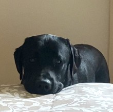 Ettore  Vinti's avatar