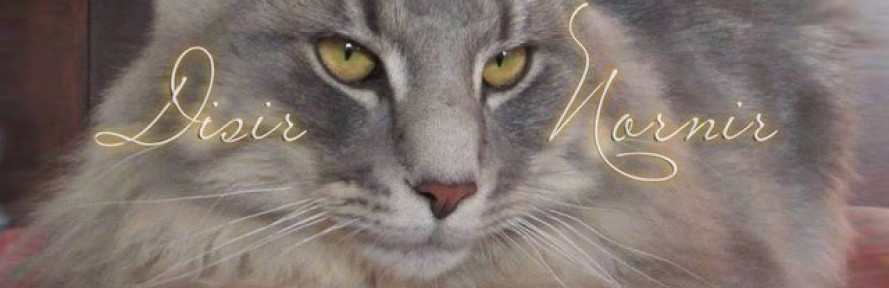 Gatti Norvegesi delle Foreste- DISIR NORNIR's couverture