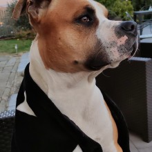 Immagine del profilo di Chiara Panattoni