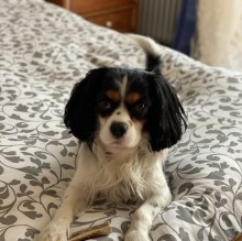 Immagine del profilo di Oliver2018