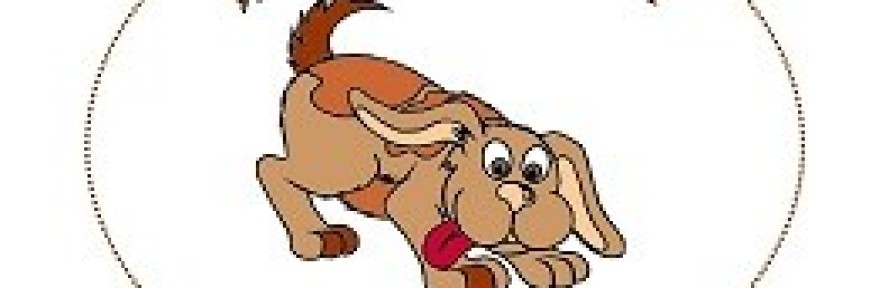 Cover di chiara costalonga