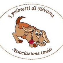 Immagine del profilo di chiara costalonga