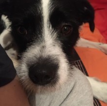 PetraOklend Lika's avatar