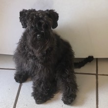 Immagine del profilo di Kristine87