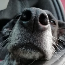 🍒Caty_ Stella🍒's avatar