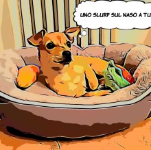 Sara Sponchiado's avatar