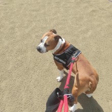 Francesca Buono's Avatar