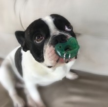 Immagine del profilo di Vanessa