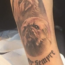 Monica Frattini's avatar