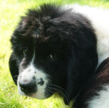 Immagine del profilo di tatkagod