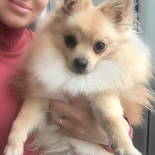 Dora Bianco's avatar