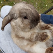 Immagine del profilo di Igor2007