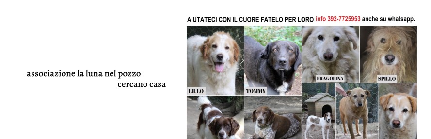 Cover di La_carica_dei_monelli