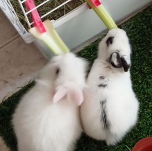 Immagine del profilo di Warren70