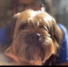 Immagine del profilo di Cosmo