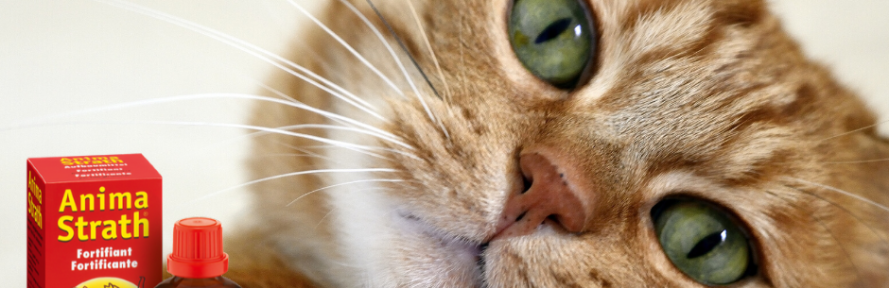 Lizofarm 's couverture