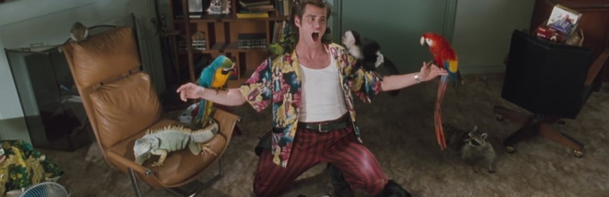 Antonio Liguoro's cover