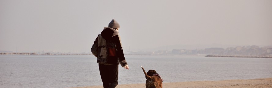 Cover di Francesca_Marcotullio