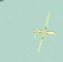 pigdogfusting's avatar