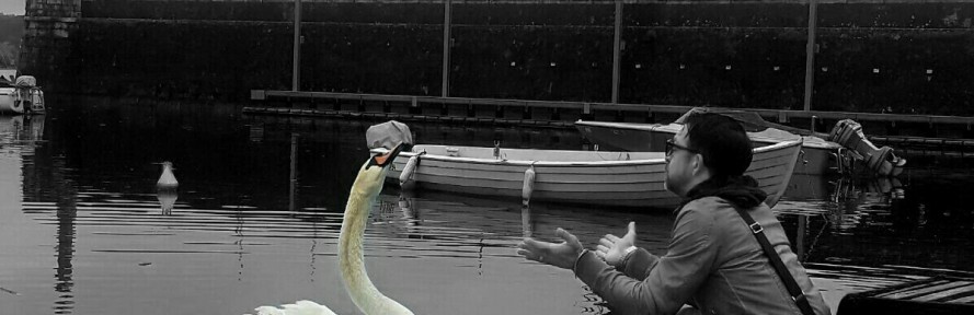 Cover di Raffaele Grande