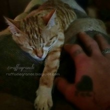 Immagine del profilo di Raffaele Grande