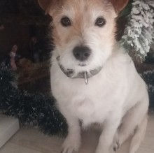 Immagine del profilo di Paolo Desii