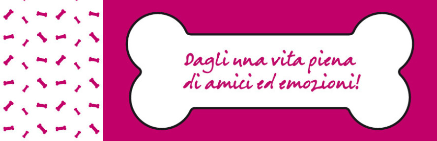 ELYS-DOG asilo per cani e toelettatura a Muggiò's cover