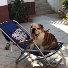 Alessandra Turco's Avatar