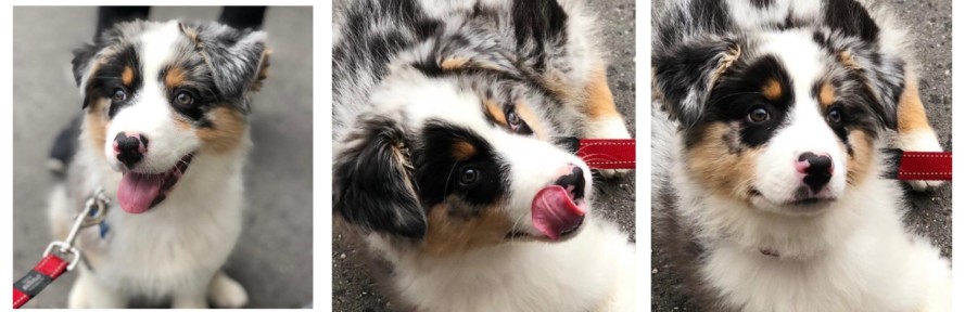 Francesca Lorenzini's couverture