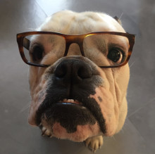 Immagine del profilo di Valeria Lanza