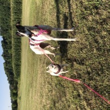 Immagine del profilo di Giada  Zahra