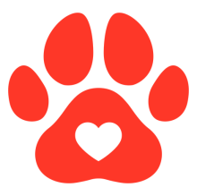 Valeria Bucci's avatar